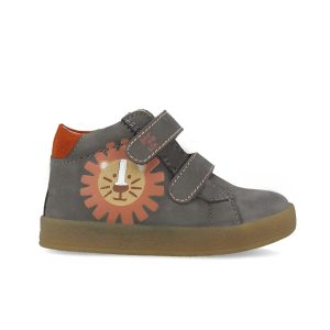 Bottines basses Lion – Gris, scratchs 251325-A168